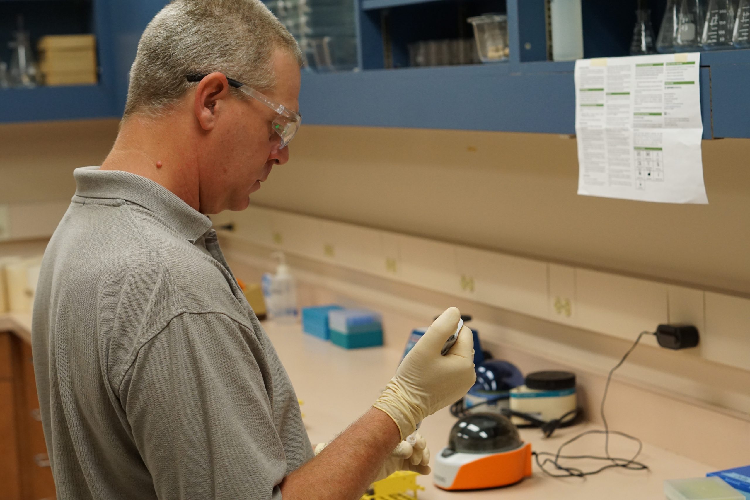 Kirk Johnson, MMCD Vector Ecologist, preparing mosquito samples for testing.