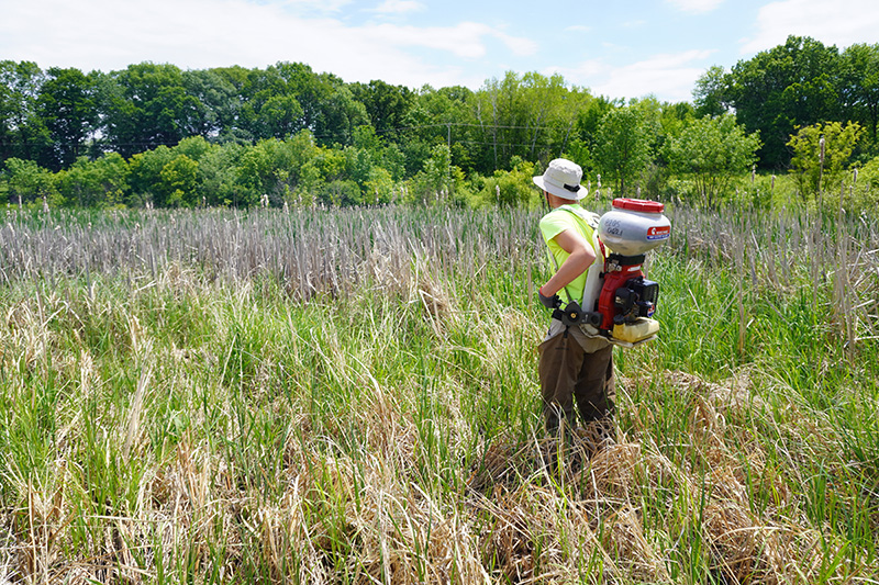 field-technician