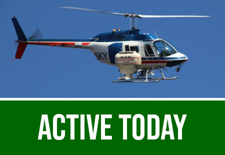 active today green bar