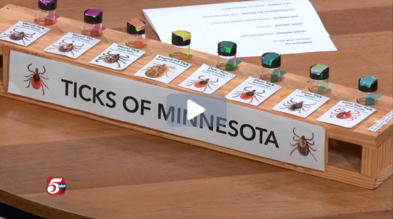 KSTP Tick Season